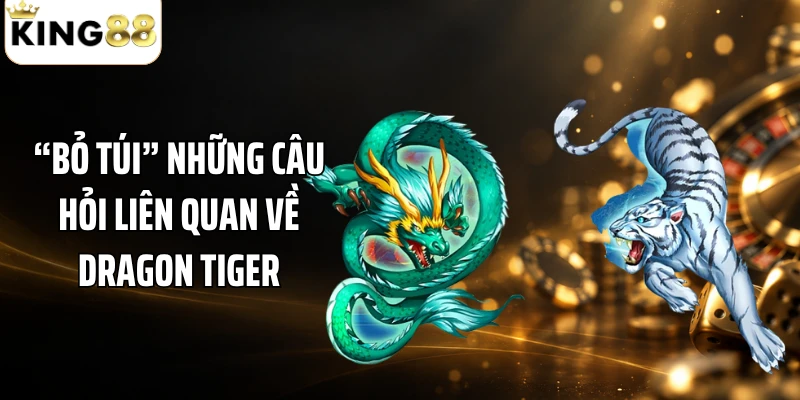 “Bỏ túi” những câu hỏi liên quan về Dragon Tiger