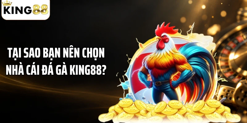Tại sao bạn nên chọn nhà cái đá gà KING88?